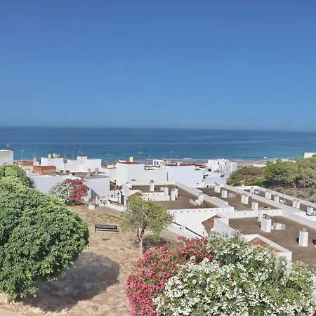 Lirio Conil De La Frontera